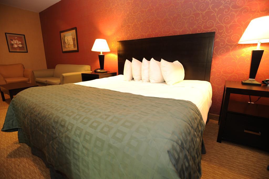 Verve Hotel 뉴욕 객실 사진
