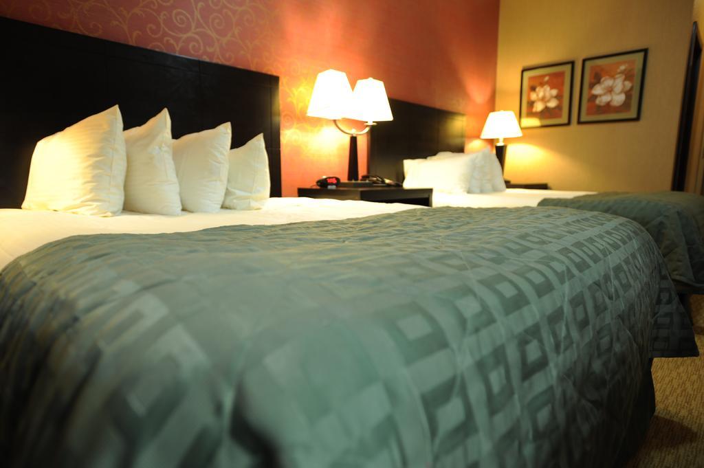 Verve Hotel 뉴욕 객실 사진